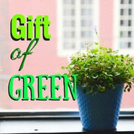 Give The Gift Of Live Plants Instead Of Flowers