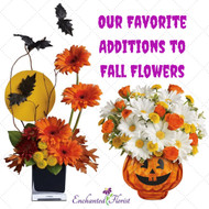 Our Favorite Additions to Our Fall Flowers