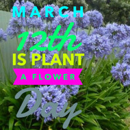 Welcome Spring with Plant a Flower Day