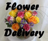 Flower Delivery Houston -Our newest flower shop video for Houston