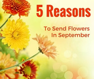 5 Reasons to Send Flowers in September