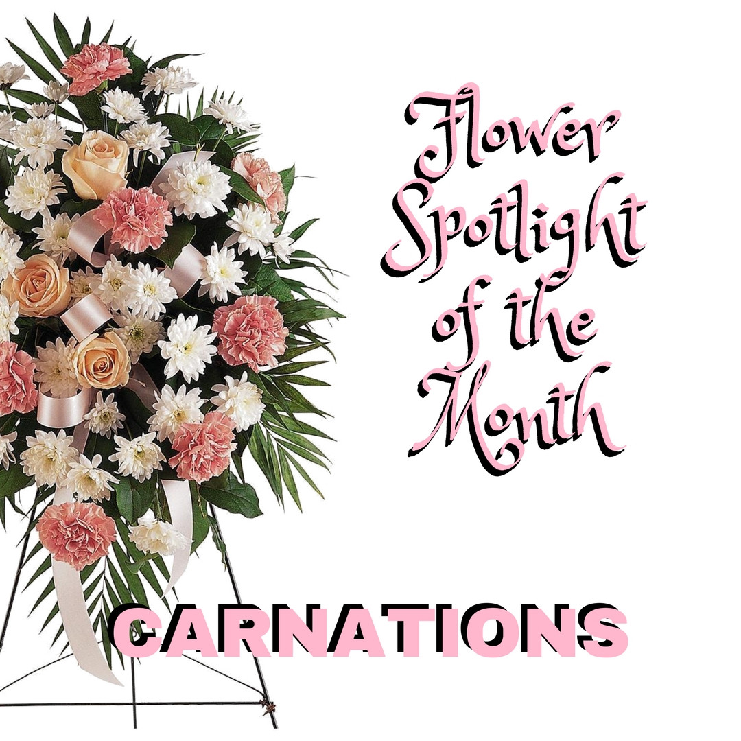 January Flower Spotlight The Carnation Enchanted Florist Pasadena