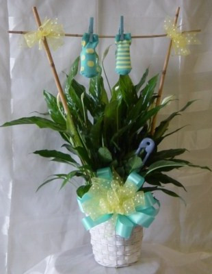 New Baby Boy Flower Bouquet Pasadena Florist