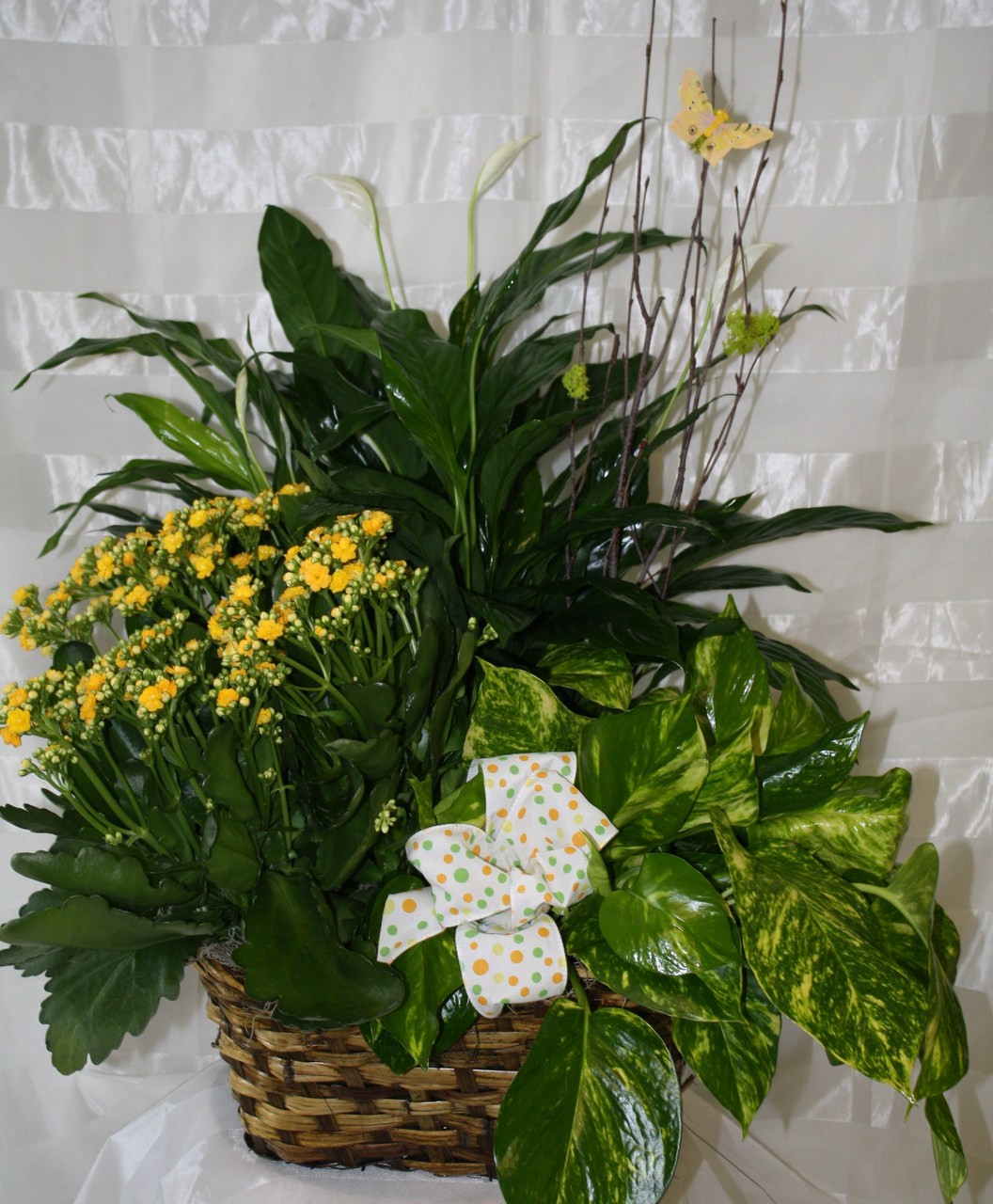 Houston Medical Center Florist Pink Cosmo Bromeliad Basket