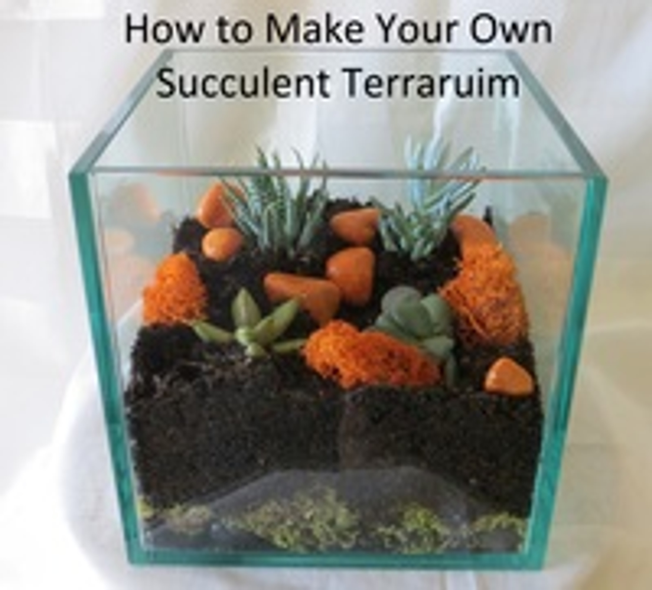 How to Make a Succulent Terrarium Enchanted Florist Pasadena