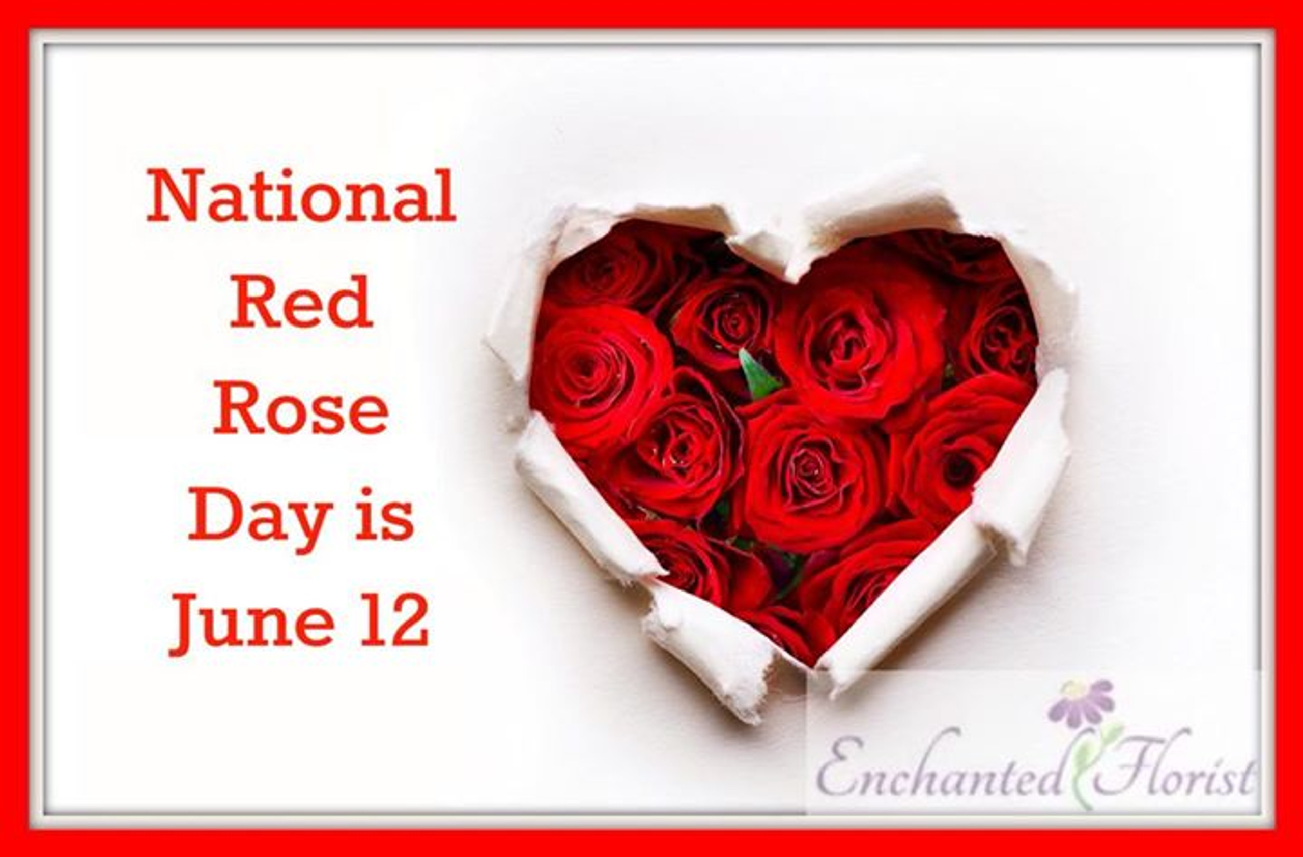Celebrate in June National Rose Month and Red Rose Day Enchanted
