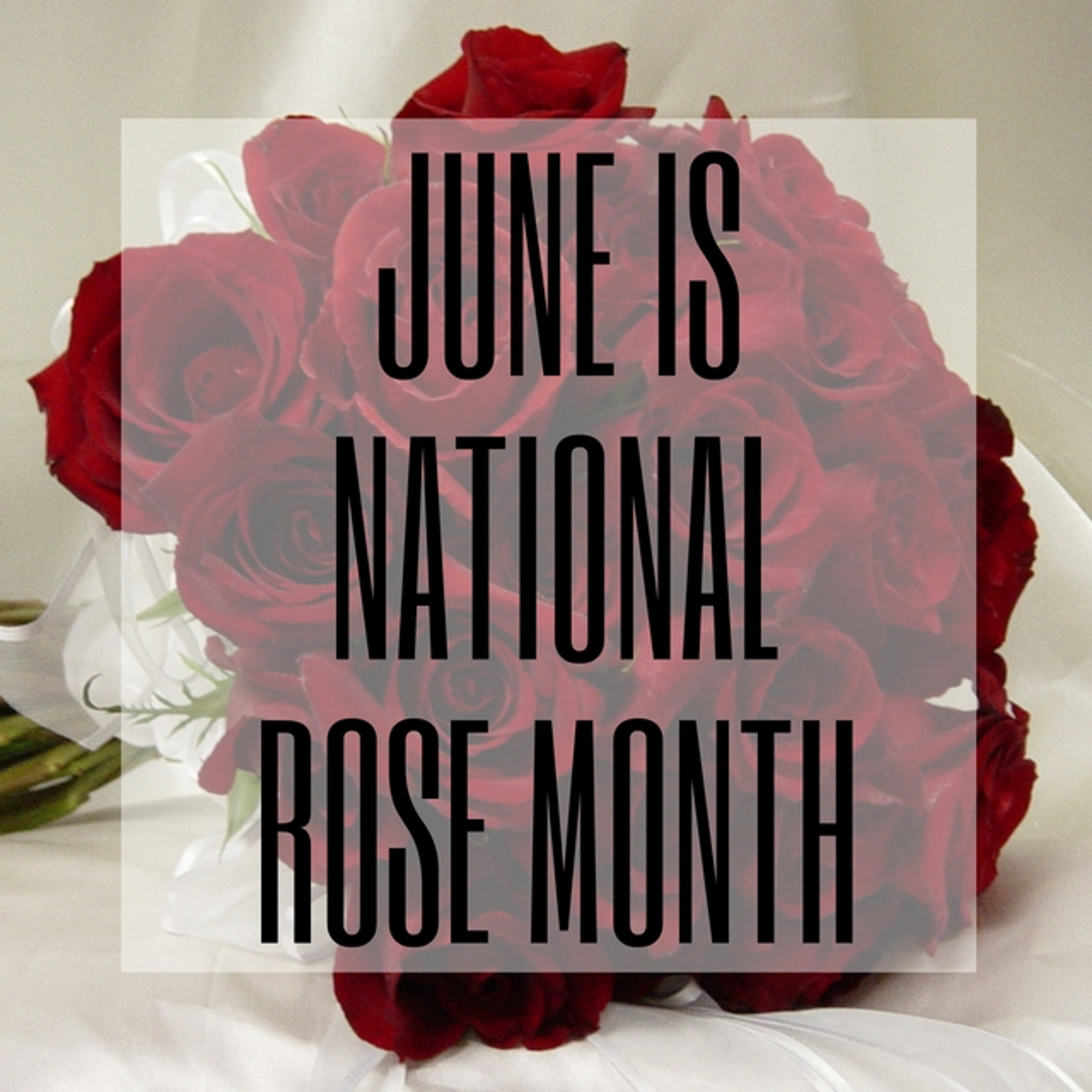 June is National Rose Month Unique Ways to Celebrate Enchanted