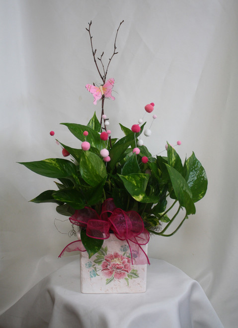 Perfectly Planted Pothos Ivy in Pink & Green Floral Cube from Enchanted Florist. This pothos ivy green plant includes the pretty pink decorations, pink butterfly, and is hand delivered in the ceramic container for a perfect gift.
SKU RM402