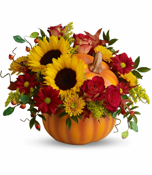 Pretty Pumpkin Sunflower Fall Arrangement by Enchanted Florist. The radiant bouquet includes red roses, yellow sunflowers, yellow cushions, red daisies, solidago, huckleberry and oak leaves. Approximately 15" W x 13" H 
SKU RM220