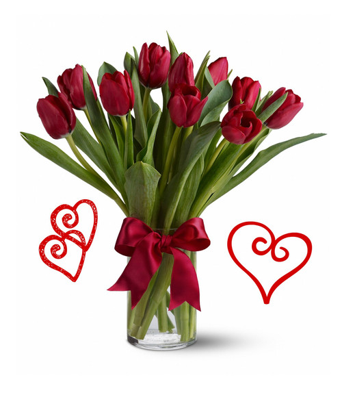 10 Red Tulips for Valentines Day by Enchanted Florist Pasadena TX.  Ten red tulips are long lasting and a beautiful non traditional option for Valentines Day. Approximately 13"W x 16"H
SKU RM967     

