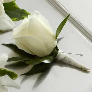 Pure White Elegance