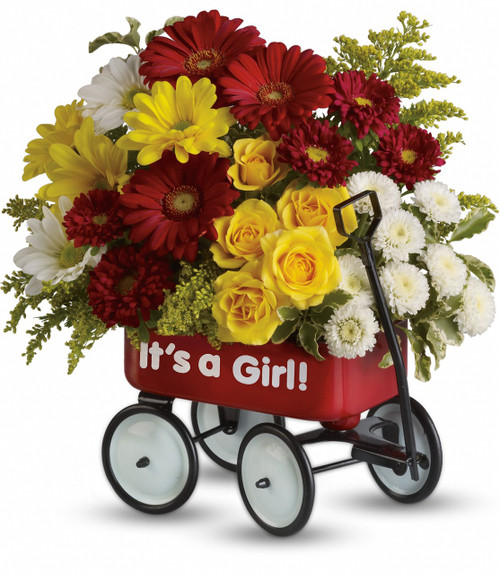 Baby Girl's WOW Wagon Bouquet of Flowers from Enchanted Florist.  Sunny yellow spray roses, bright red gerberas and red matsumoto asters, white and yellow daisy flowers, white buttons and solidago are lovingly arranged in a wagon. New It's a Girl flowers in little red wagon. SKU RM316