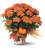 Blooming Plant with Fall Decorations by Enchanted Florist. A beautiful blooming plant, with its warm fall colors, will be remembered long after the season is gone. Perfect for fall decorating, indoors or out. Send to a family member to celebrate a birthday, a friend for a get well, or to yourself to decorate your home or office for the fall season.
SKU: RM452