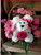 Carnation Puppy