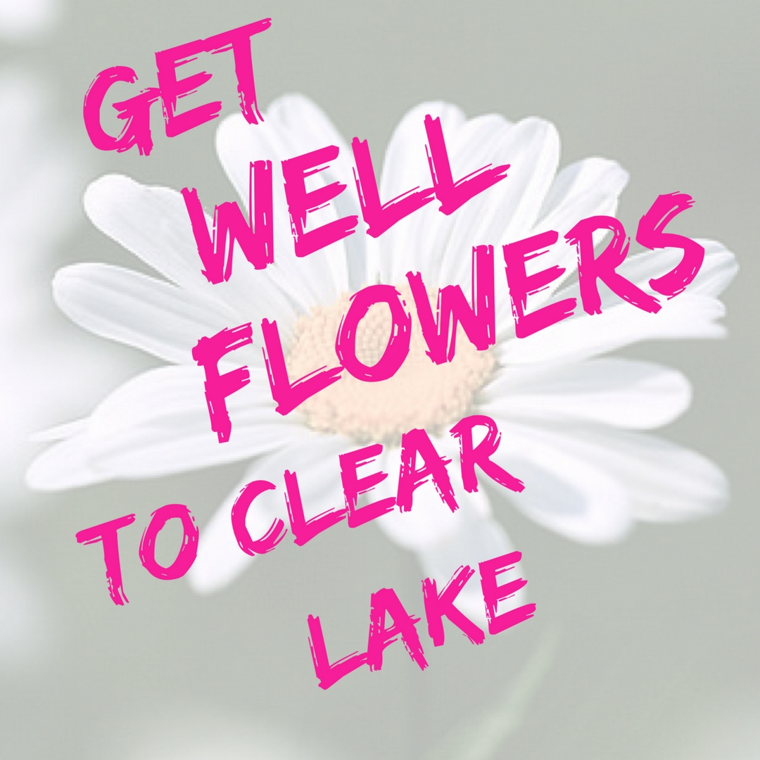 Sending Get Well Flowers From Your Clear Lake Florist Enchanted