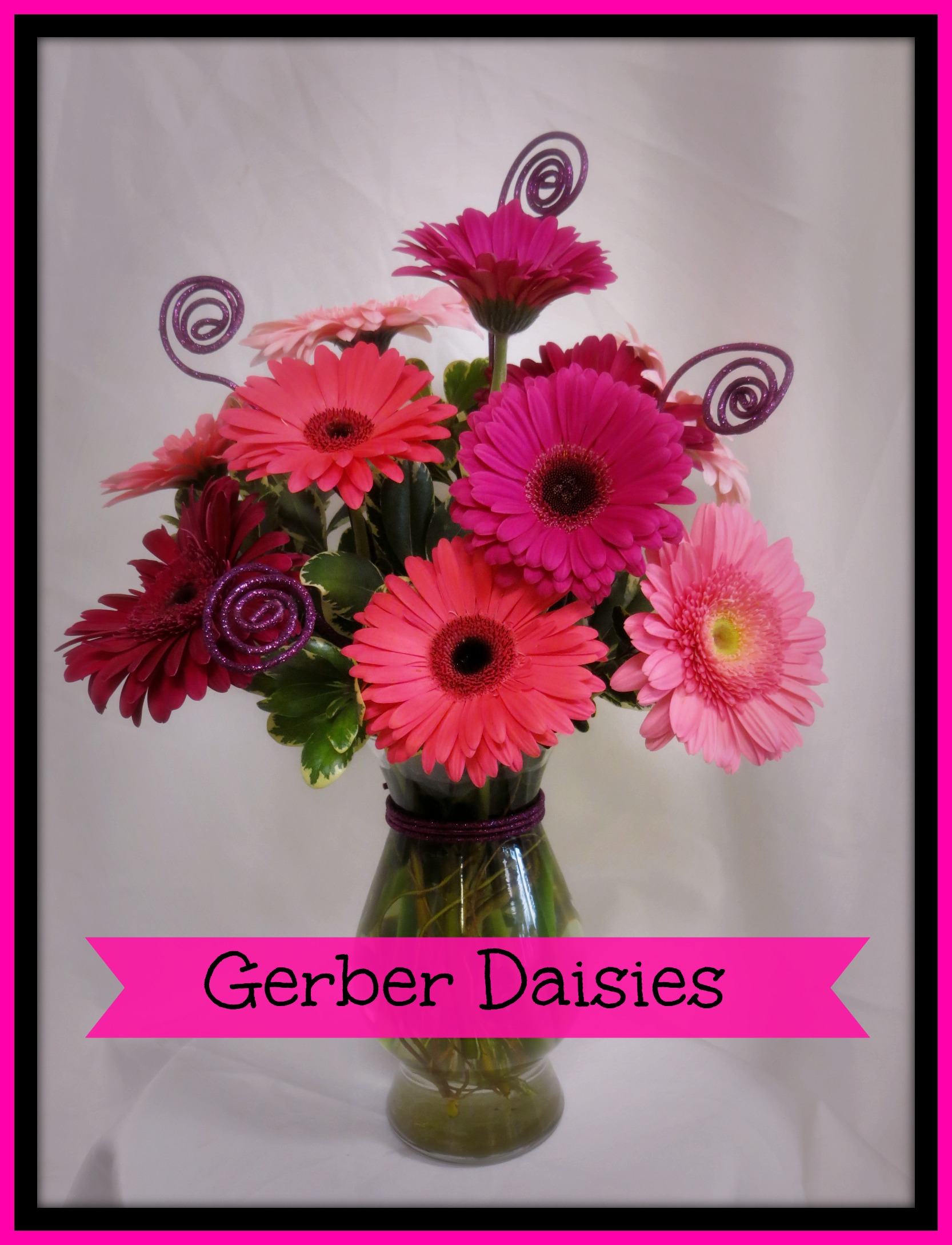 deer-park-florist-gerbera-daisies.jpg