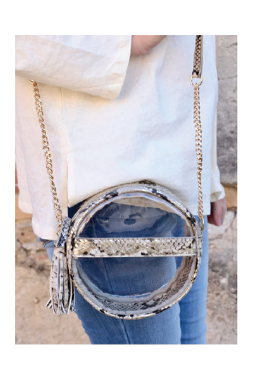 caroline hill clear purse