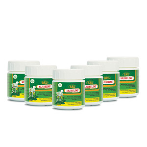 Borobudur Herbal Keji Beling 100 Pil Obat Batu Ginjal dan Sakit Pinggang - 6 Botol