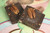 Middlebury Sweets Chocolate Bark Bites -Bark Of Fire (Hot)