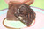 Middlebury Sweets Chocolate Bark Bites - Pecan Chocolate Bark