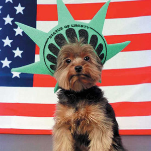 New Yorkie 240 27a 1 Artist Micro Fiber Cleaning Cloth