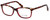Calabria Splash SP63 Designer Eyeglasses in Tortoise-Red :: Rx Single Vision