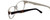 Calabria Splash SP61 Designer Reading Glasses in Demi-Brown