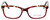 Calabria Splash SP63 Designer Reading Glasses in Tortoise-Red