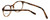 Calabria Viv Designer Eyeglasses 822 in Demi-Brown :: Custom Left & Right Lens