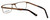 Eddie Bauer Designer Eyeglasses EB8603-Satin-Brown in Satin-Brown 54mm :: Rx Bi-Focal