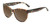 Profile View of OTIS Aerial Designer Polarized Reading Sunglasses with Custom Cut Powered Amber Brown Lenses in Matte Honey Tortoise Havana Ladies Cat Eye Full Rim Acetate 56 mm