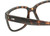 Close Up View of OTIS Odyssey Designer Reading Eye Glasses in Matte Honey Tortoise Havana Ladies Cat Eye Full Rim Acetate 54 mm