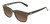Profile View of OTIS Test of Time X Designer Polarized Reading Sunglasses with Custom Cut Powered Amber Brown Lenses in Eco Havana Tortoise Unisex Square Full Rim Acetate 55 mm