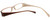 Calabria Viv 738 Mocha Designer Eyeglasses :: Custom Left & Right Lens