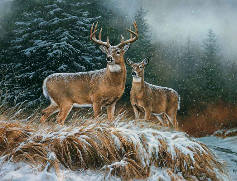 Deer Hunting Theme 240-34a-2 Artist Micro Fiber Cleaning Cloth