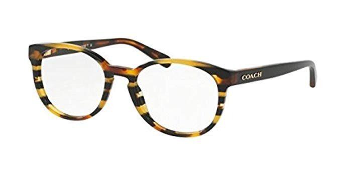 Coach Designer Reading Glasses HC6102F-5440 in Black Amber Stripe 53mm