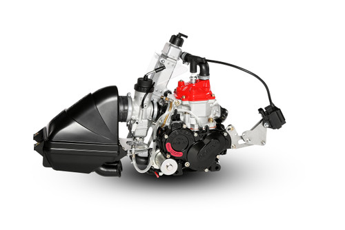 Rotax Micro Max Evo Engine (short motor)