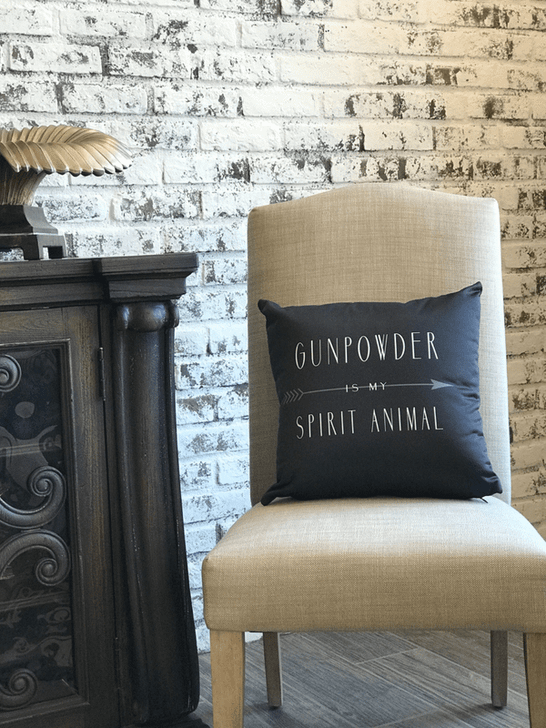 Gunpowder is my Spirit Animal Pillow Grey on Chair