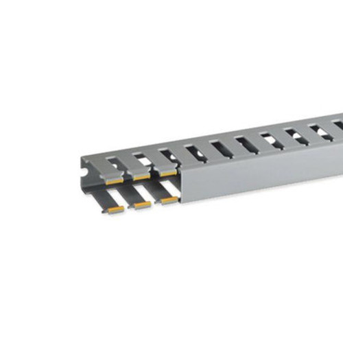 IBOB02562