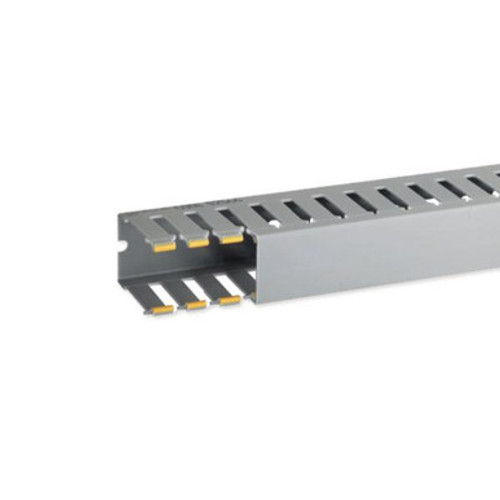 IBOB02566