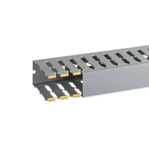 IBOB02567