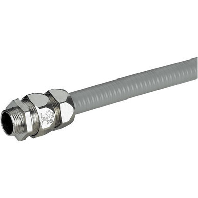 LEG381138