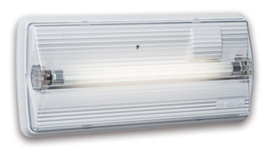 LENFX1101