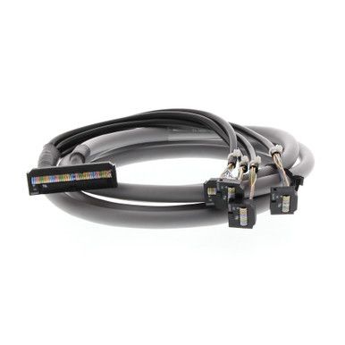 OMRP2RV4300C