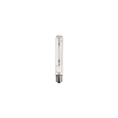 PHLSONTPLUS600