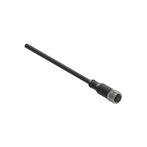 PZZVF CA12PD5M