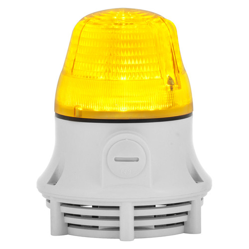 SIR79735
