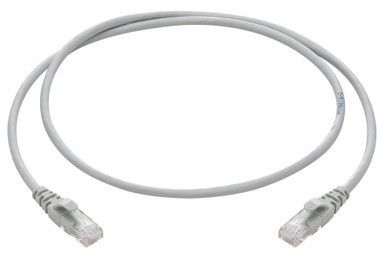VIW03017.1