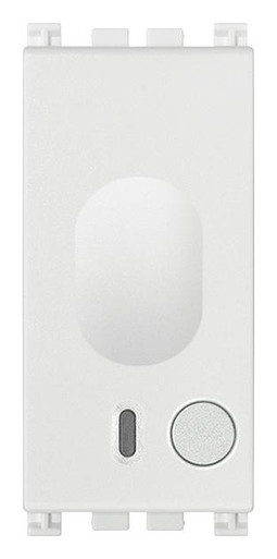 VIW19538.B