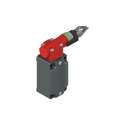 PZZFD 2080